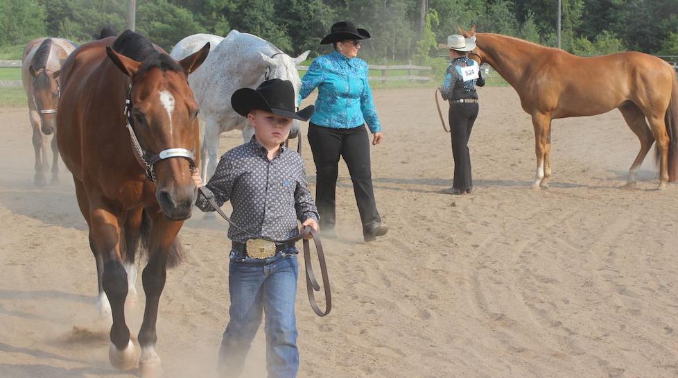 Saddle Club show